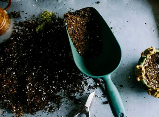 Plastic trowel with soil sitting on top of soil pile