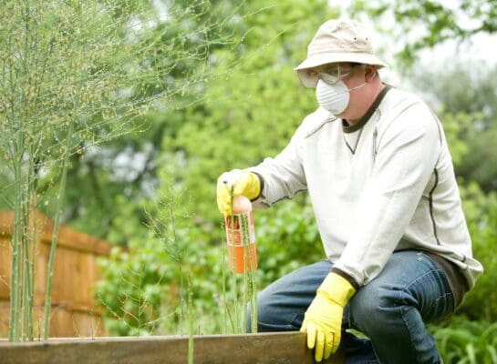 Man with mask and goggles spraying into garden bed with gloves on